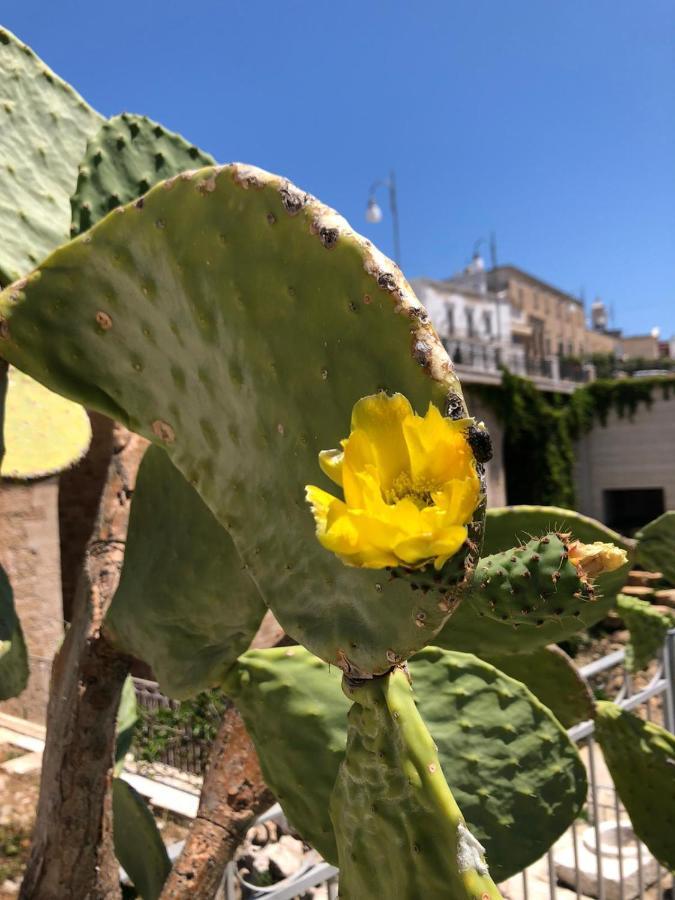 Lamanna Summer House Polignano a Mare Bagian luar foto