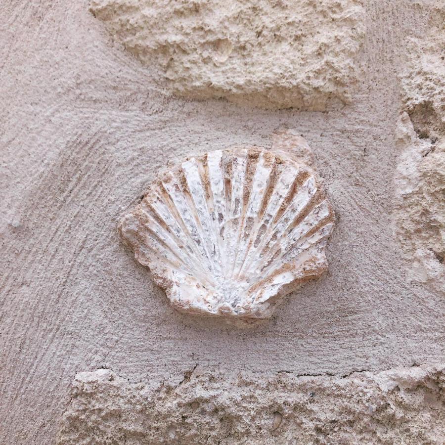 Lamanna Summer House Polignano a Mare Bagian luar foto