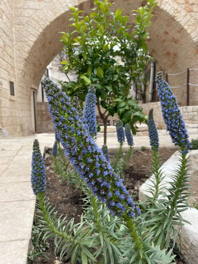 Lamanna Summer House Polignano a Mare Bagian luar foto
